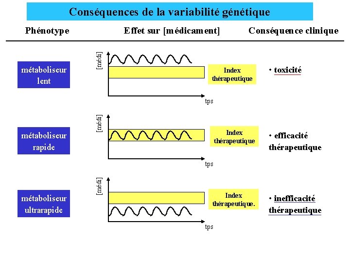 Conséquences de la variabilité génétique métaboliseur lent Effet sur [médicament] [médi] Phénotype Conséquence clinique