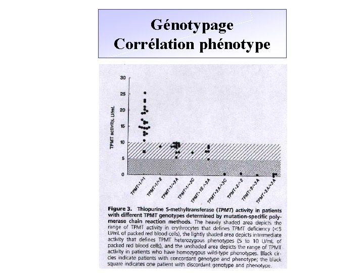 Génotypage Corrélation phénotype 