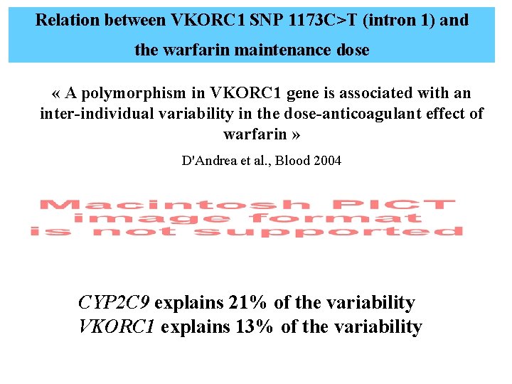 Relation between VKORC 1 SNP 1173 C>T (intron 1) and the warfarin maintenance dose