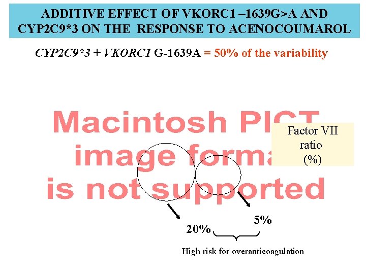 ADDITIVE EFFECT OF VKORC 1 – 1639 G>A AND CYP 2 C 9*3 ON