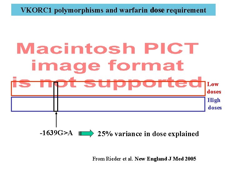 VKORC 1 polymorphisms and warfarin dose requirement Low doses High doses -1639 G>A 25%