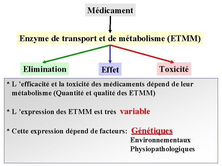 Médicament Enzyme de transport et de métabolisme (ETMM) Elimination Effet Toxicité * L ’efficacité