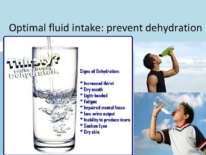 Optimal fluid intake: prevent dehydration 