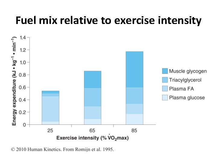 Fuel mix relative to exercise intensity 