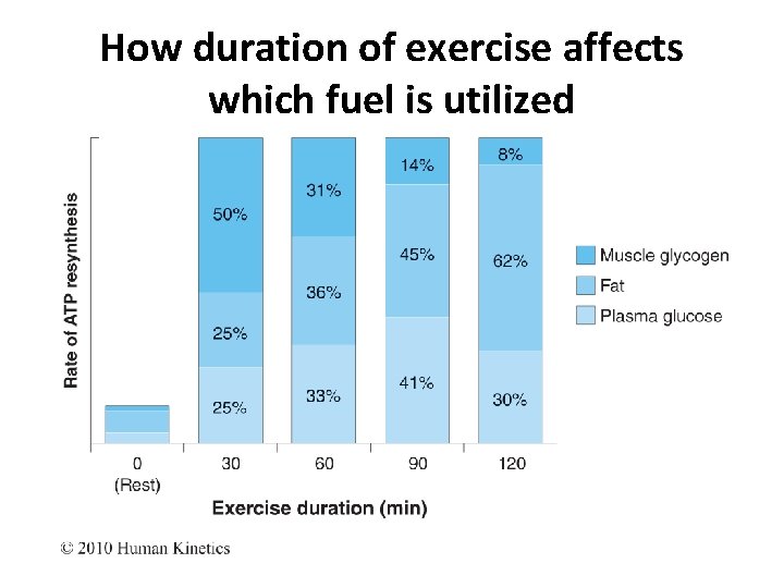 How duration of exercise affects which fuel is utilized 