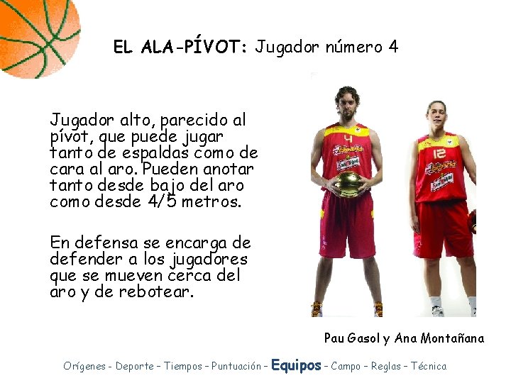 EL ALA-PÍVOT: Jugador número 4 Jugador alto, parecido al pívot, que puede jugar tanto EL ALA-PÍVOT: Jugador número 4 Jugador alto, parecido al pívot, que puede jugar tanto