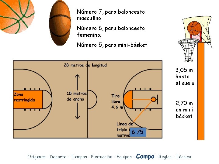 Número 7, para baloncesto masculino Número 6, para baloncesto femenino. Número 5, para mini-básket