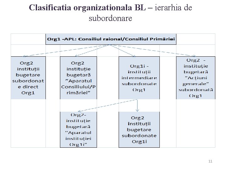 Clasificatia organizationala BL – ierarhia de subordonare 11 