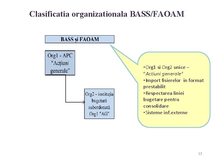 Clasificatia organizationala BASS/FAOAM • Org 1 si Org 2 unice – ”Actiuni generale” •