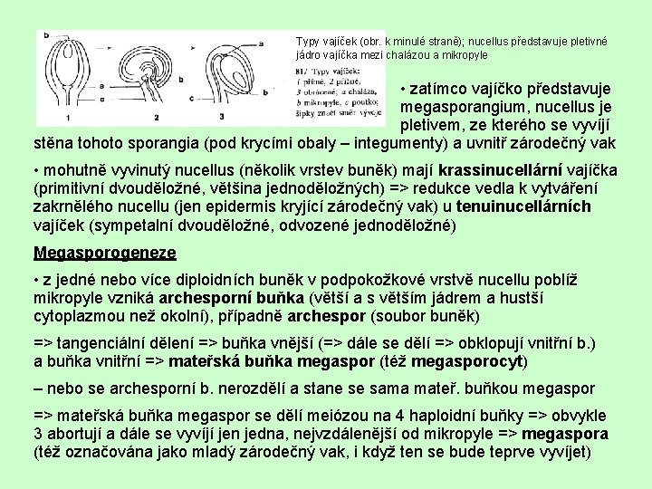 Typy vajíček (obr. k minulé straně); nucellus představuje pletivné jádro vajíčka mezi chalázou a