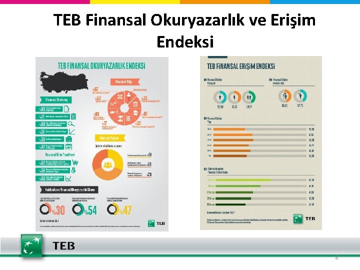 TEB Finansal Okuryazarlık ve Erişim Endeksi 8 