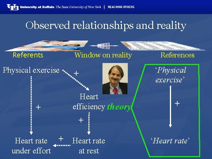Observed relationships and reality Referents Window on reality + Physical exercise ‘Physical exercise’ +