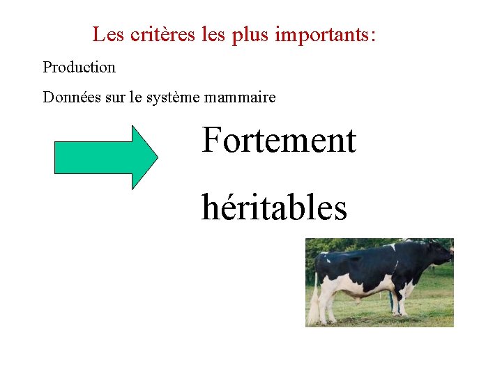 Les critères les plus importants: Production Données sur le système mammaire Fortement héritables 