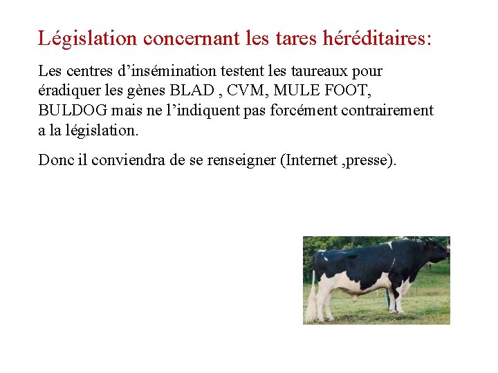Législation concernant les tares héréditaires: Les centres d’insémination testent les taureaux pour éradiquer les