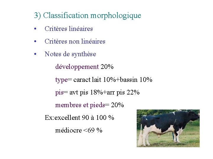 3) Classification morphologique • Critères linéaires • Critères non linéaires • Notes de synthèse