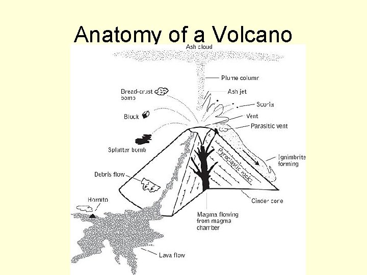 Anatomy of a Volcano 