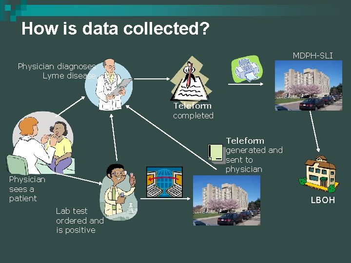 How is data collected? MDPH-SLI Physician diagnoses Lyme disease Teleform completed Teleform generated and