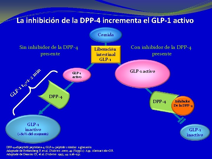 La inhibición de la DPP-4 incrementa el GLP-1 activo Comida Sin inhibidor de la