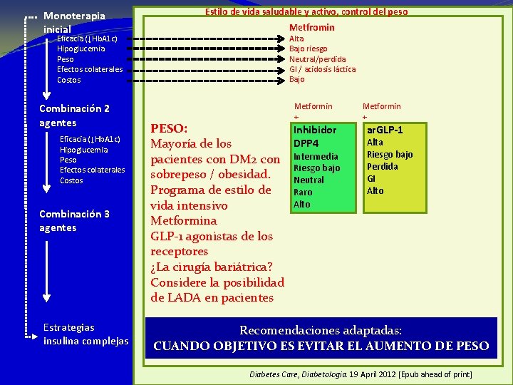 Estilo de vida saludable y activo, control del peso Monoterapia inicial Metfromin Alta Bajo