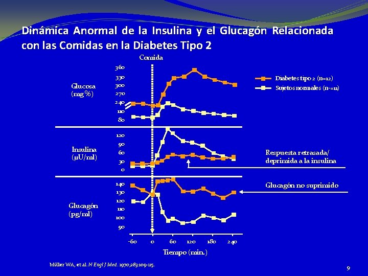 Dinámica Anormal de la Insulina y el Glucagón Relacionada con las Comidas en la