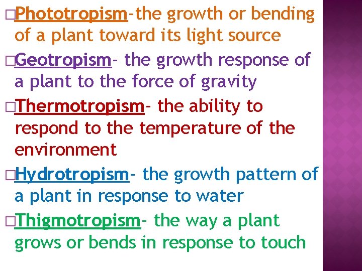 �Phototropism-the growth or bending of a plant toward its light source �Geotropism- the growth