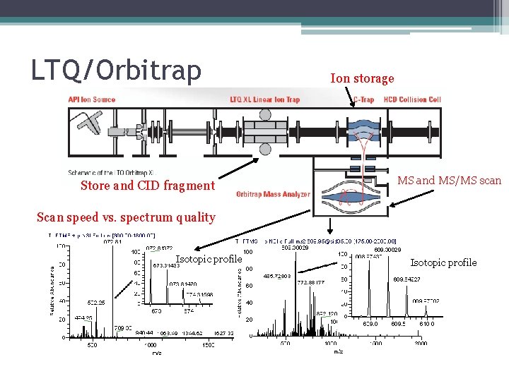 LTQ/Orbitrap Store and CID fragment Ion storage MS and MS/MS scan Scan speed vs.