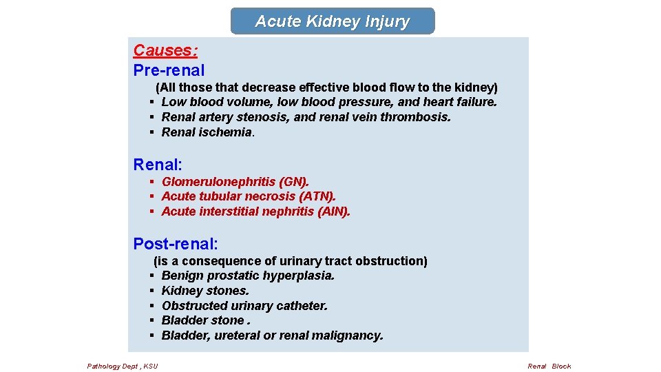 Acute Kidney Injury Causes: Pre-renal (All those that decrease effective blood flow to the