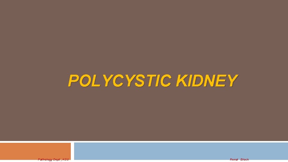 POLYCYSTIC KIDNEY Pathology Dept , KSU Renal Block 