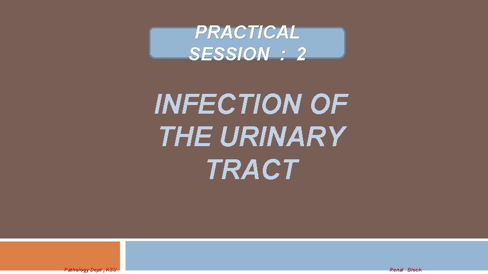 PRACTICAL SESSION : 2 INFECTION OF THE URINARY TRACT Pathology Dept , KSU Renal