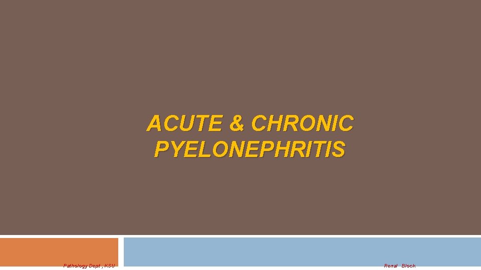 ACUTE & CHRONIC PYELONEPHRITIS Pathology Dept , KSU Renal Block 