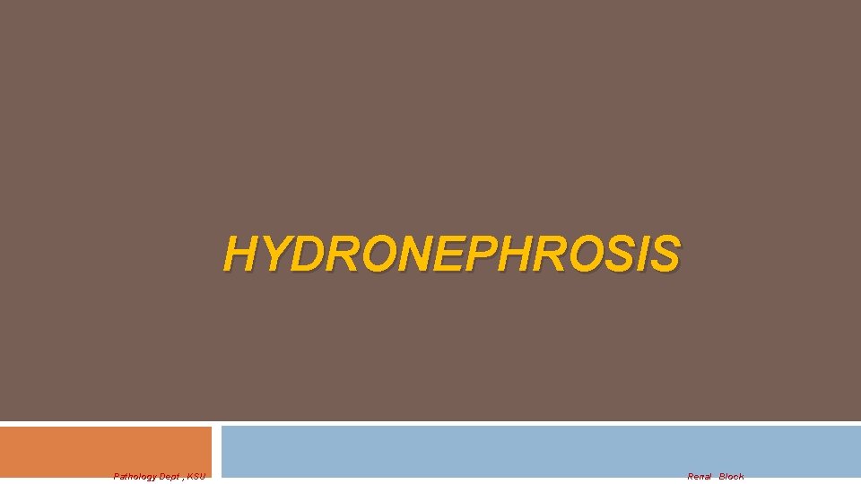 HYDRONEPHROSIS Pathology Dept , KSU Renal Block 