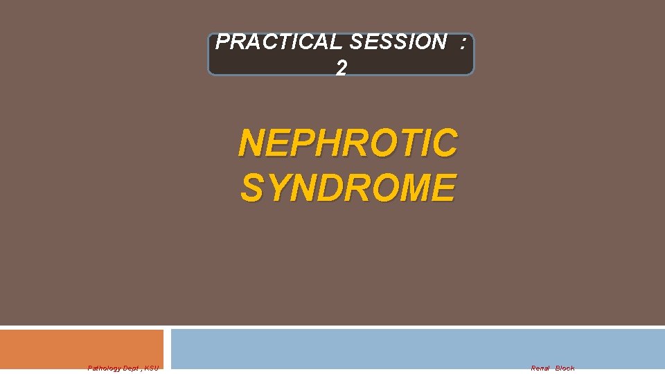 PRACTICAL SESSION : 2 NEPHROTIC SYNDROME Pathology Dept , KSU Renal Block 