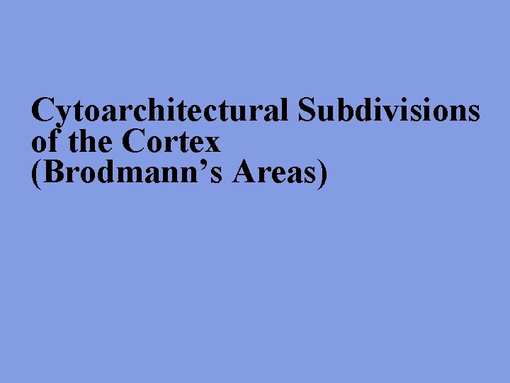 Cytoarchitectural Subdivisions of the Cortex (Brodmann’s Areas) 
