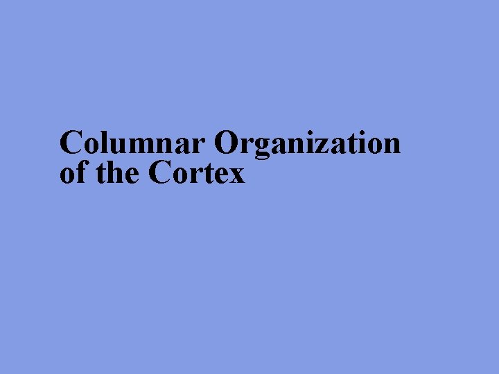 Columnar Organization of the Cortex 
