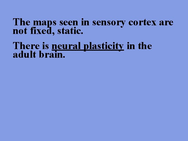 The maps seen in sensory cortex are not fixed, static. There is neural plasticity
