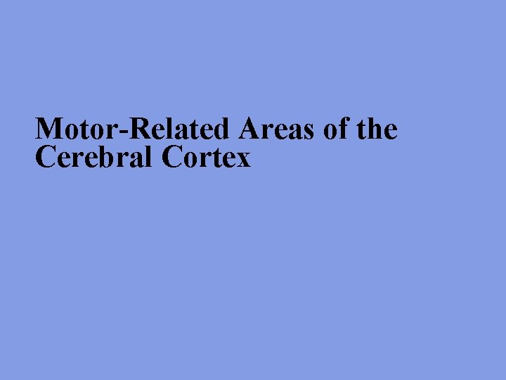 Motor-Related Areas of the Cerebral Cortex 