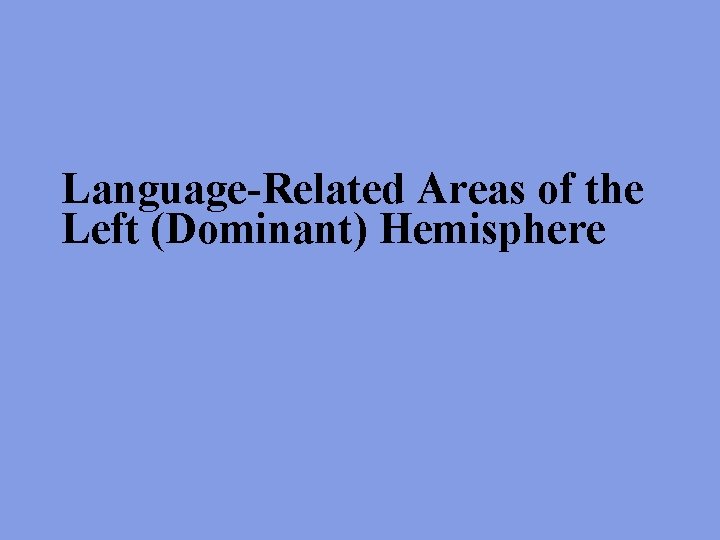 Language-Related Areas of the Left (Dominant) Hemisphere 