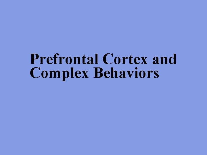 Prefrontal Cortex and Complex Behaviors 