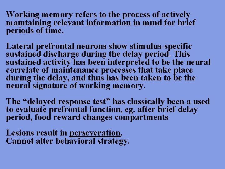Working memory refers to the process of actively maintaining relevant information in mind for