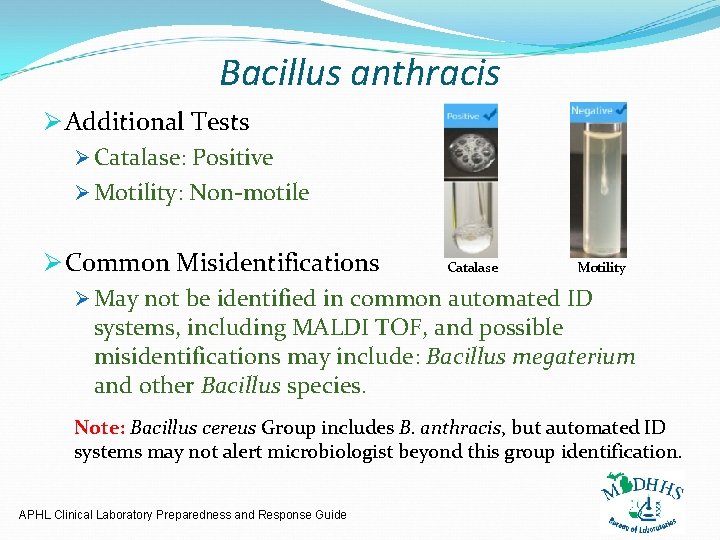 Bacillus anthracis Ø Additional Tests Ø Catalase: Positive Ø Motility: Non-motile Ø Common Misidentifications