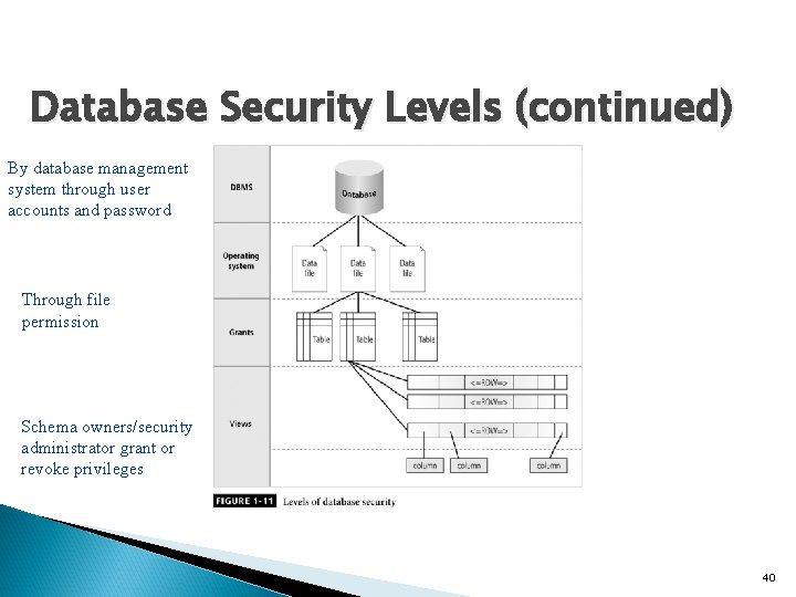 Database Security Levels (continued) By database management system through user accounts and password Through