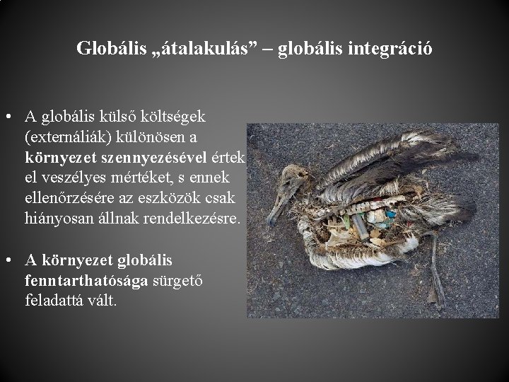 Globális „átalakulás” – globális integráció • A globális külső költségek (externáliák) különösen a környezet