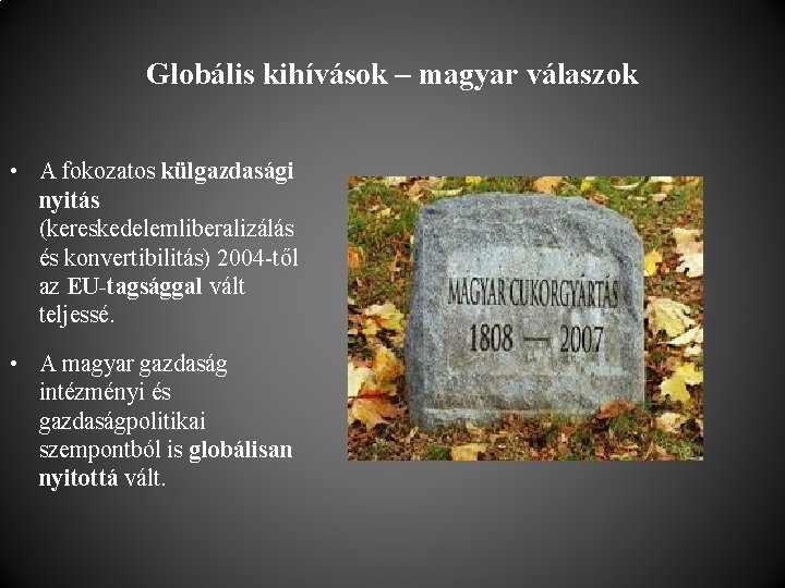 Globális kihívások – magyar válaszok • A fokozatos külgazdasági nyitás (kereskedelemliberalizálás és konvertibilitás) 2004