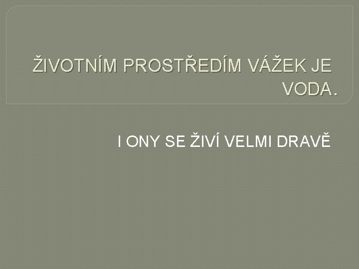 ŽIVOTNÍM PROSTŘEDÍM VÁŽEK JE VODA. I ONY SE ŽIVÍ VELMI DRAVĚ 