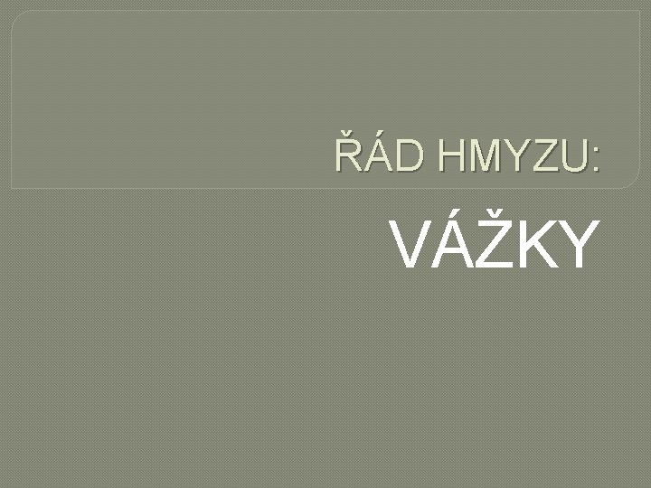 ŘÁD HMYZU: VÁŽKY 