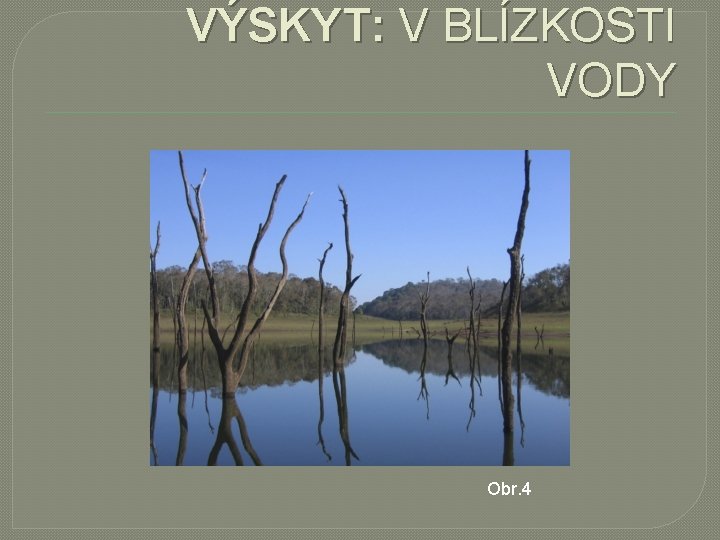 VÝSKYT: V BLÍZKOSTI VODY Obr. 4 