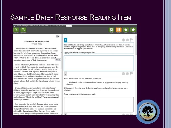 SAMPLE BRIEF RESPONSE READING ITEM 