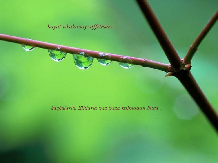 hayat ıskalamayı affetmez!. . . keşkelerle, tühlerle başa kalmadan önce… 
