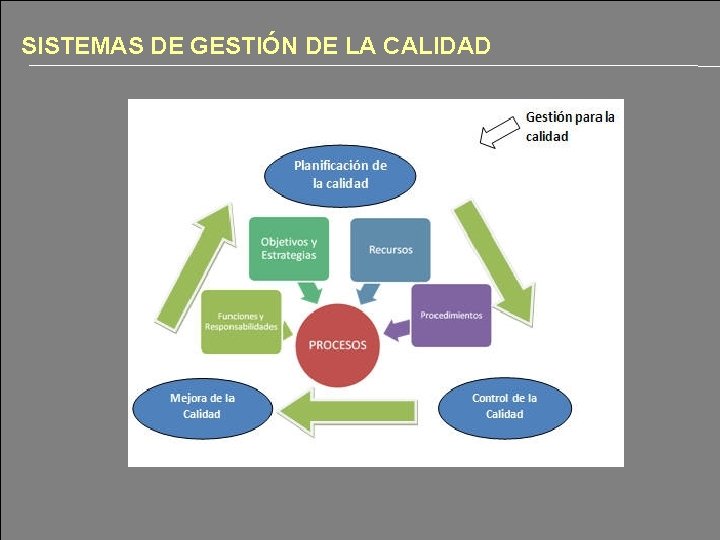 12 SISTEMAS DE GESTIÓN DE LA CALIDAD 