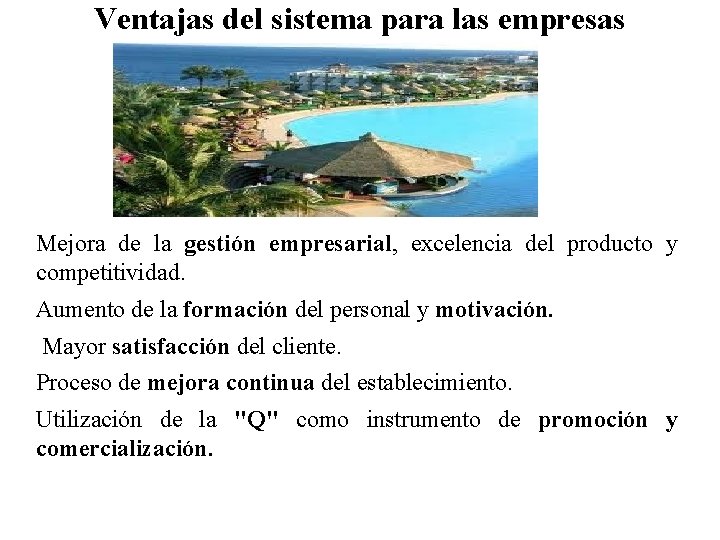 Ventajas del sistema para las empresas Mejora de la gestión empresarial, excelencia del producto